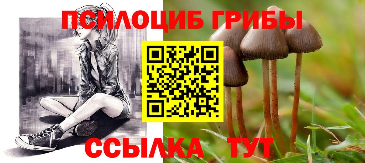что такое   Псилоцибиновые грибы Magic Shrooms  Вход с VPN  Калининград  Галлюциногенные грибы MAGIC MUSHROOMS 