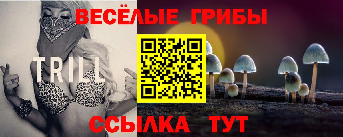 Псилоцибиновые грибы мицелий Калининград